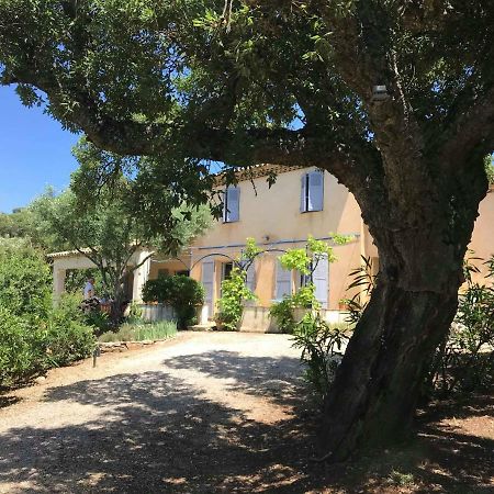 Le Mas Amore Bed & Breakfast Gassin Eksteriør bilde